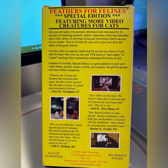 For Cat Lovers Only - Picture 2 of 2